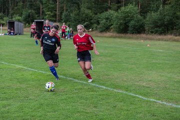 Bild 264 - Frauen SG NieBar - HSV 2 : Ergebnis: 4:3